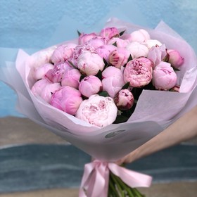 Peonies Sara Bernhardt
