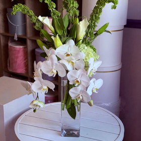 White Orchid Waterfall