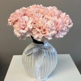 Elegant Carnation